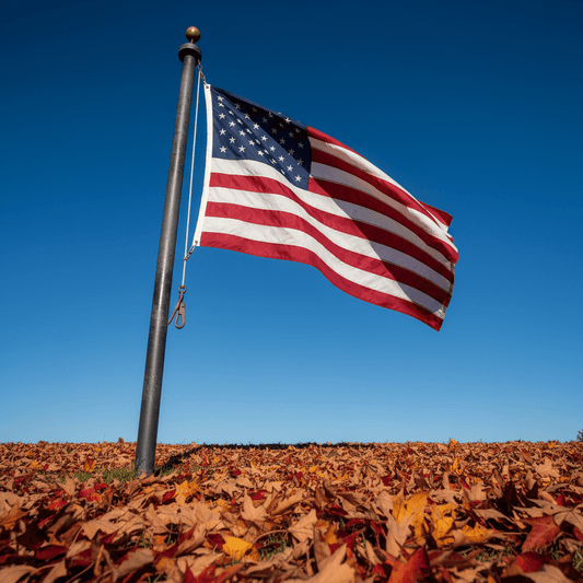 Best American Flags for Fall Weather - FlagStars